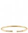 Tommy Hilfiger Armband Memory Steel Bangle Goudkleurig (TJ2780251) Tommy Hilfiger Armband Memory Steel Bangle Goudkleurig (TJ2780251)